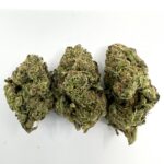 Black Cherry Gelato Image