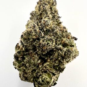 Biscotti x Gelato