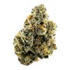 Blue Cherry Gumboz